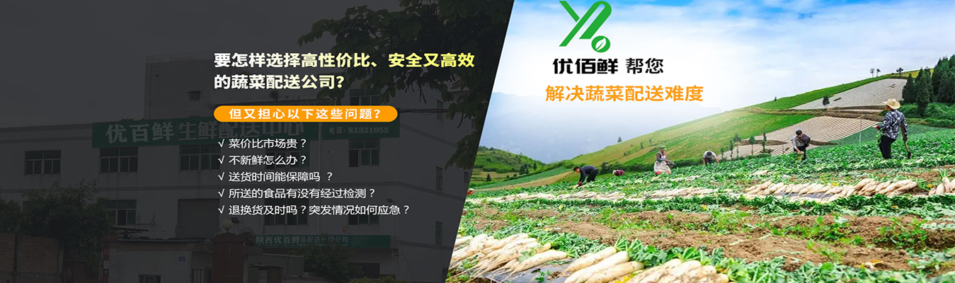 要怎樣選擇高性價比、安全又（yòu）高效的蔬菜配送公司？