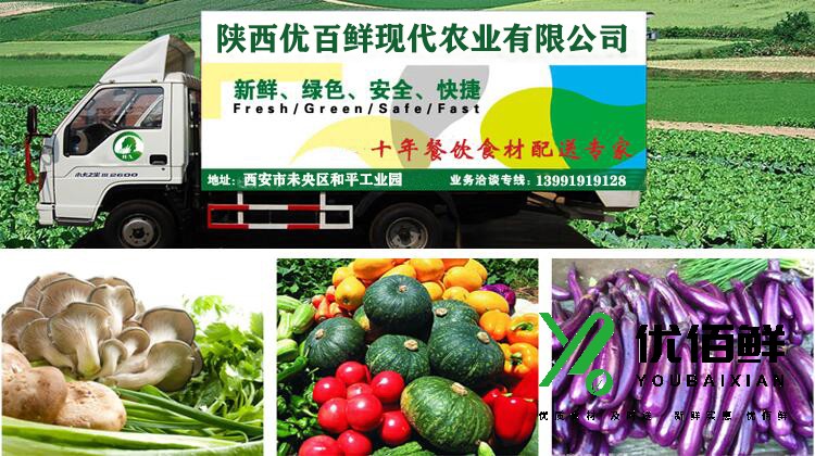蔬菜（cài）配（pèi）送（sòng）方案 - 农副产品食材配送方案